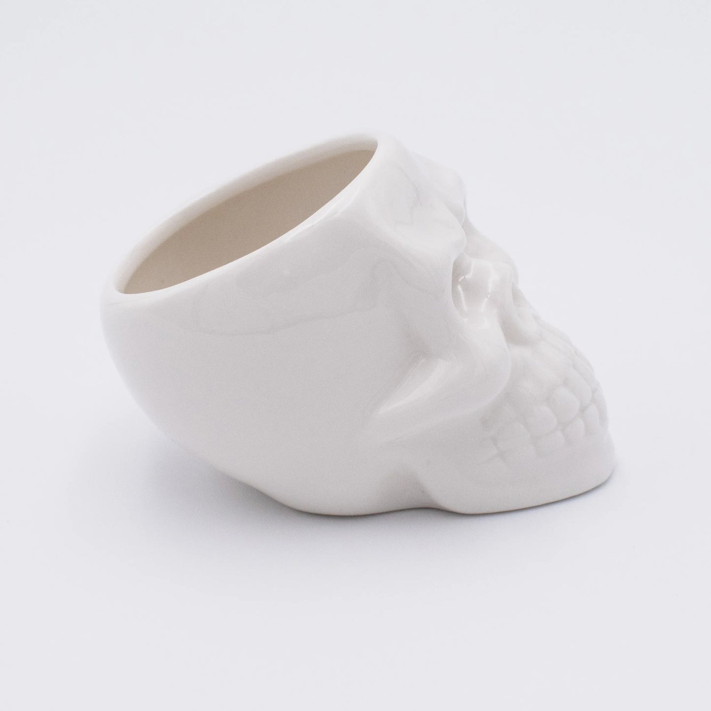 Ceramic Small Skull Container or Planter - Shadowplay Collection