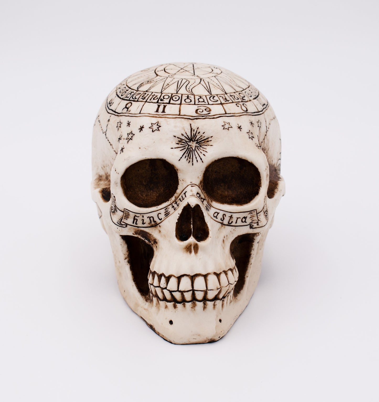 Astrological Skull Sculpture