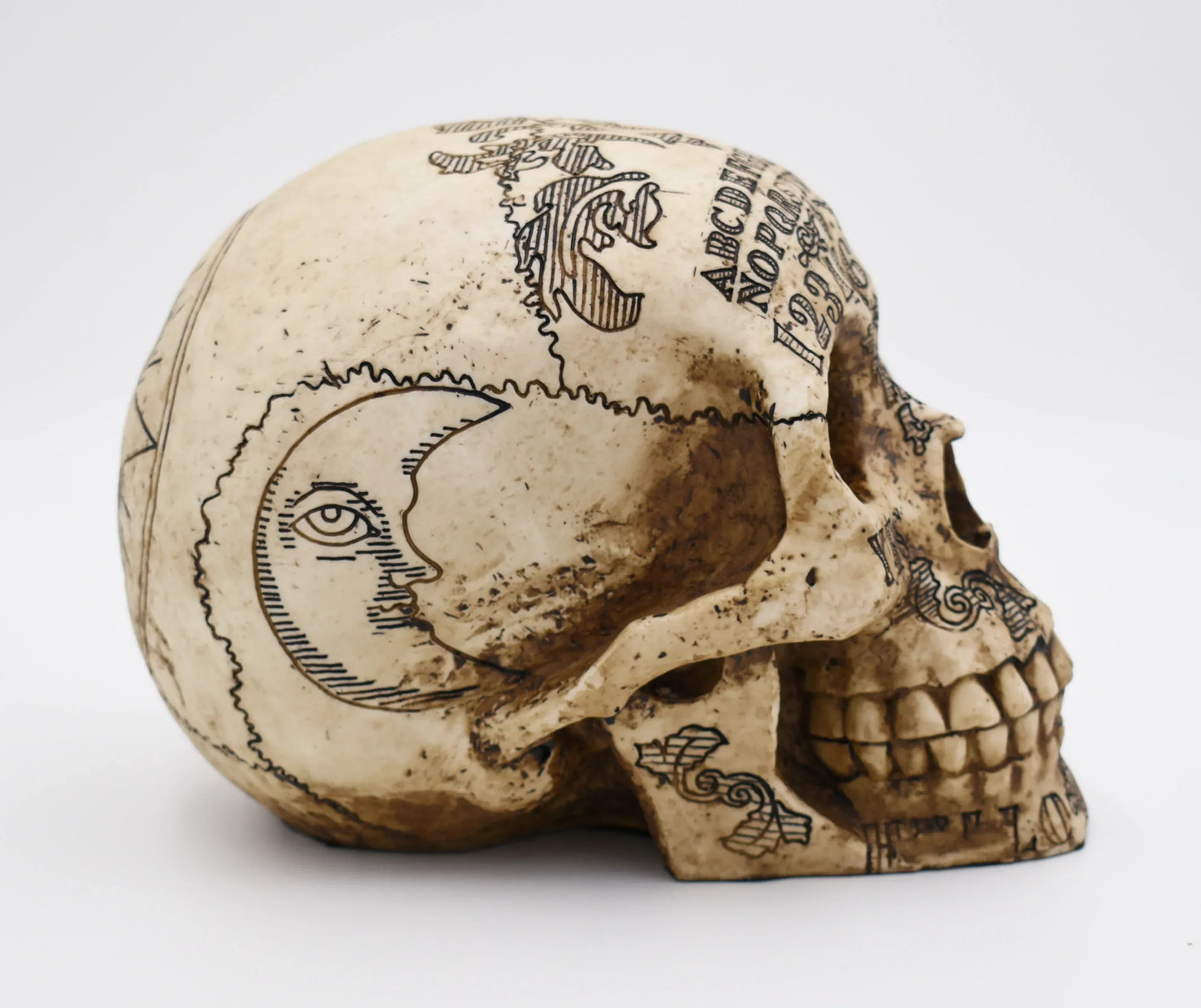 Natural Bone Colored Ouija Skull Sculpture - Shadowplay Collection
