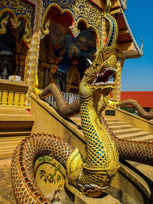 Dragon on a building.