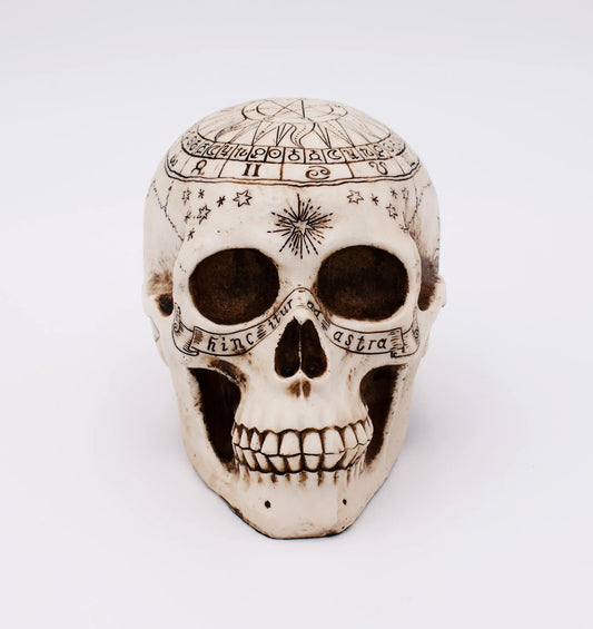 Astrological Skull Sculpture - Shadowplay Collection