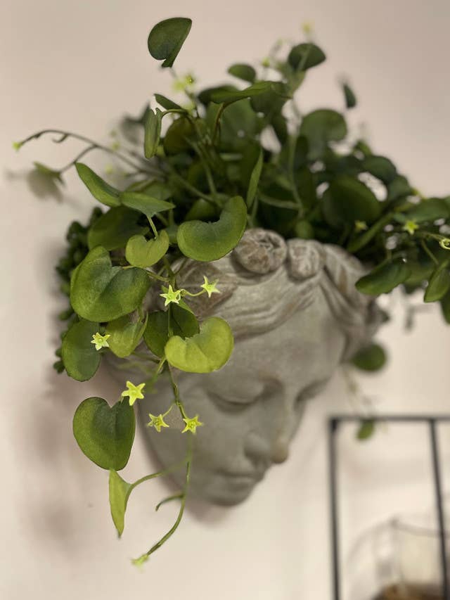 Green leafy plant hanging over a decorative head sculpture on a neutral background- Shadowplay Collection Gift Shop