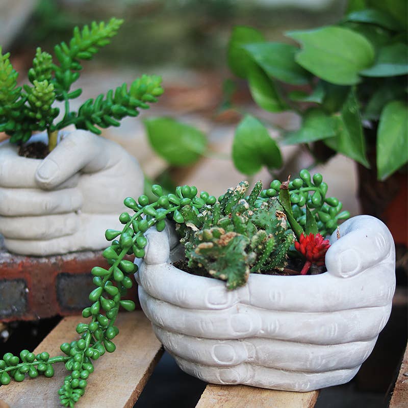 Ceramic hand-shaped planter with succulents on a wooden surface- Shadowplay Collection Gift Shop