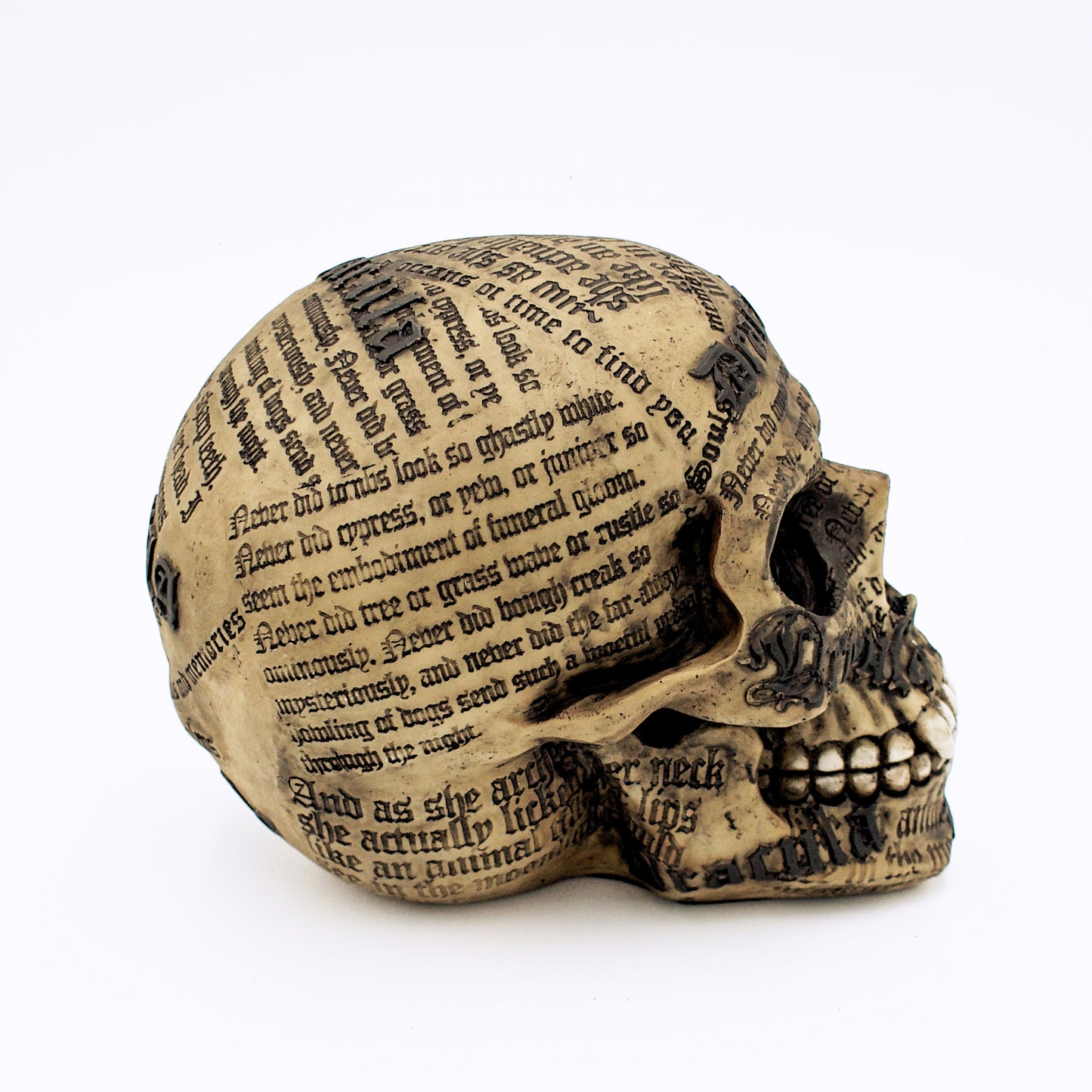 Dracula Skull Sculpture