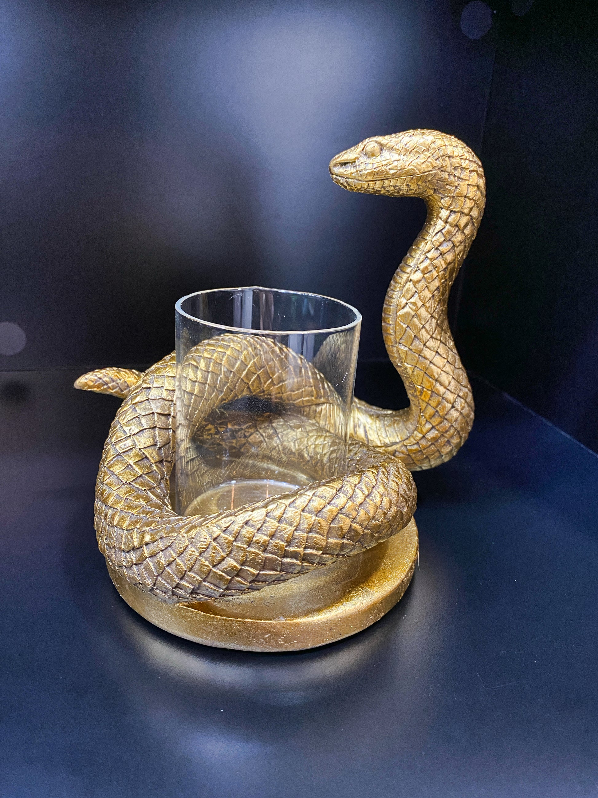 Gold Coiled Snake Candle holder with blue background