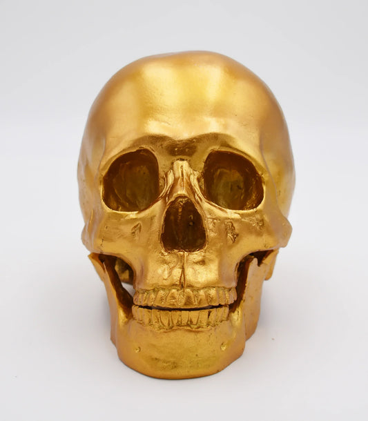 Gold Color Skull Sculpture with Detached Jaw - Shadowplay Collection