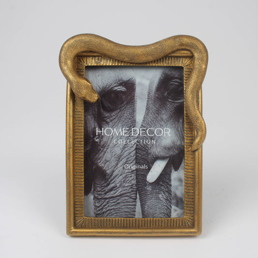 Rectangle Picture Frame with Snake and white background.