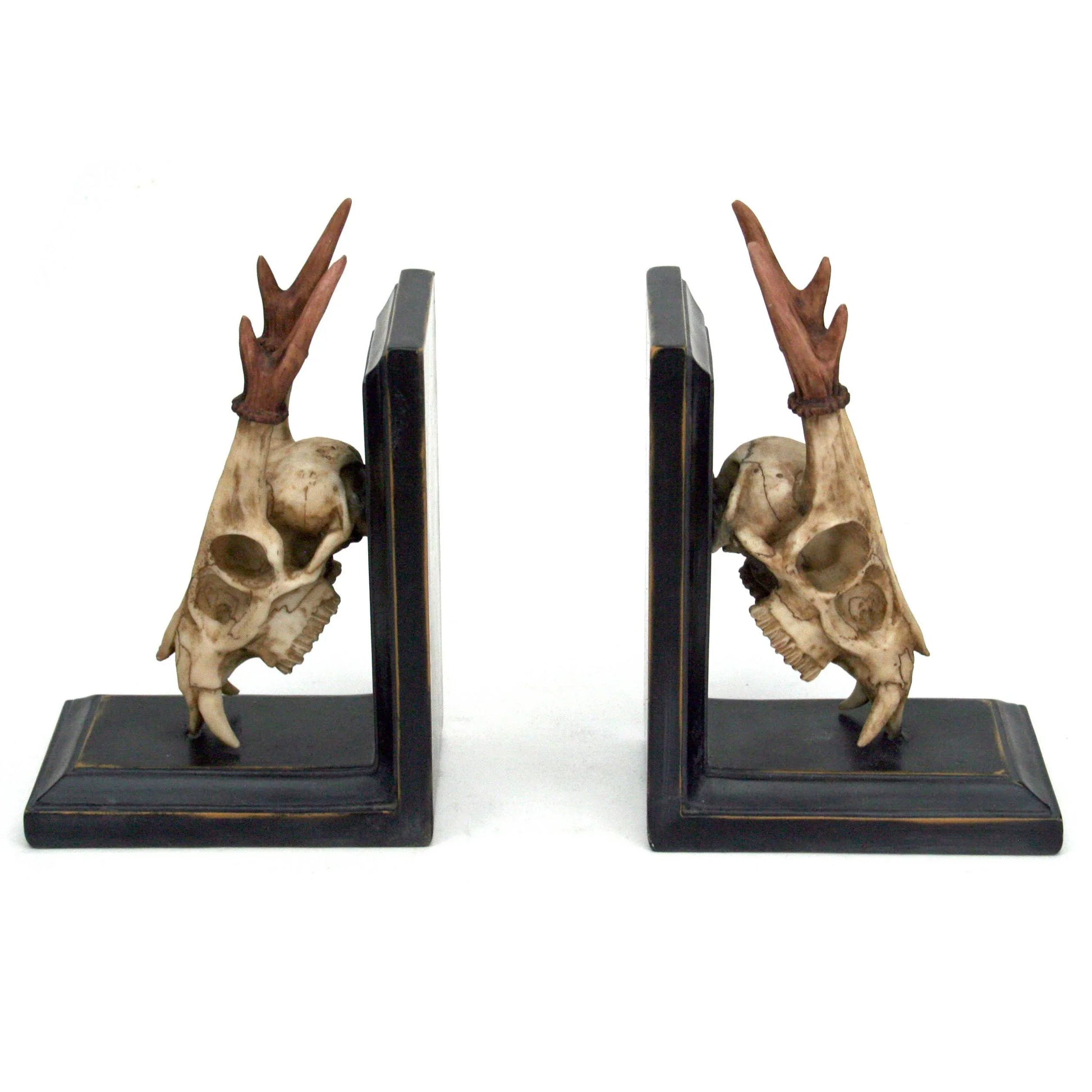 Red Muntjac Skull Book Ends - Shadowplay Collection