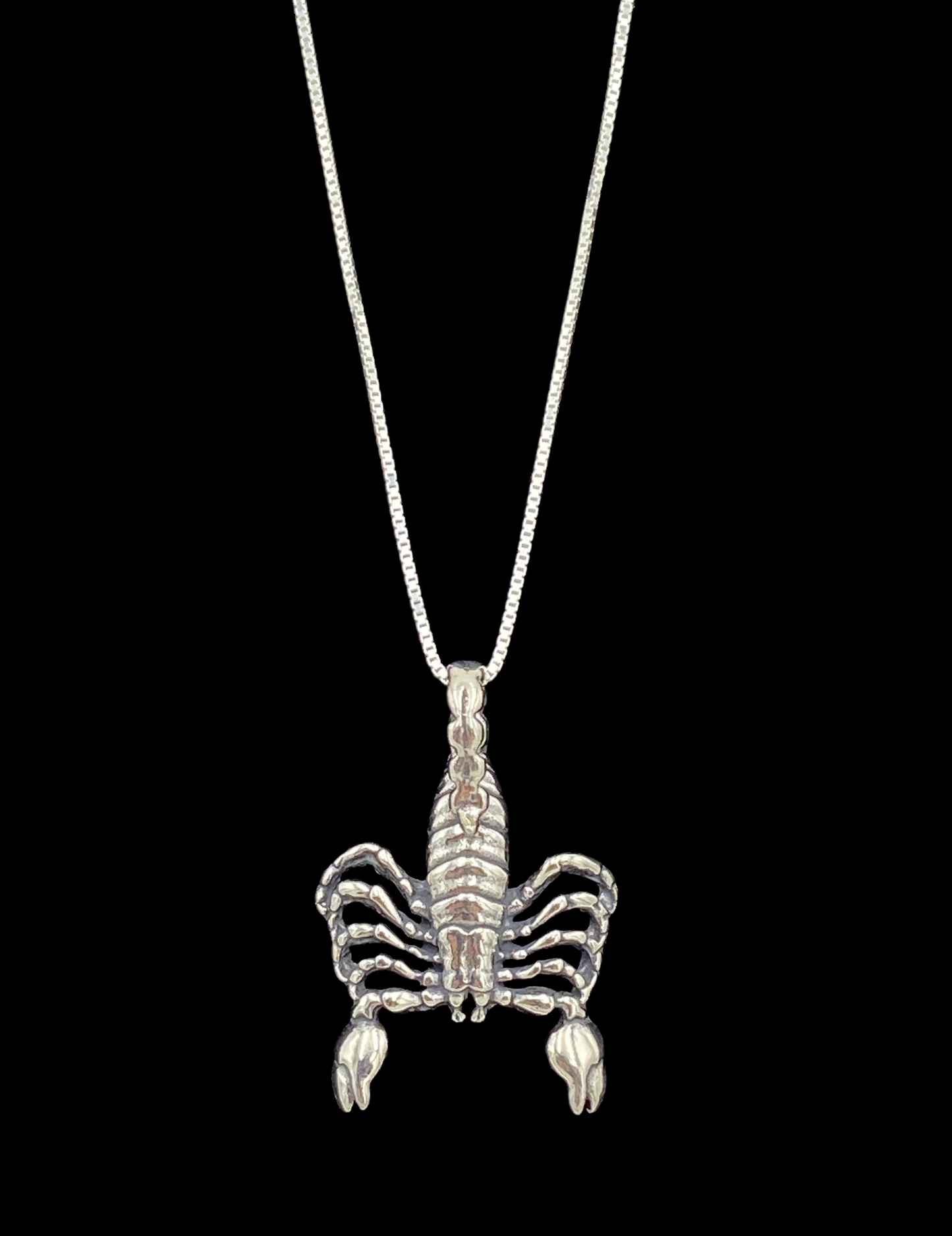 Sterling Silver Scorpion Pendant with Chain