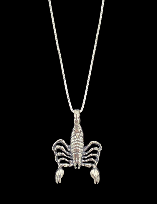 Sterling Silver Scorpion Pendant with Chain