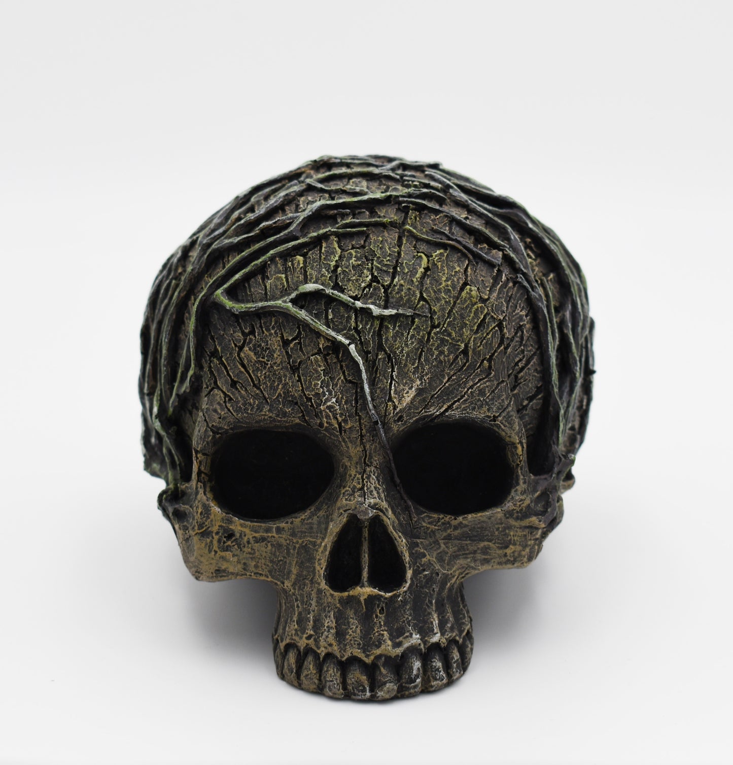 Decorative skull with tree branches on a white background