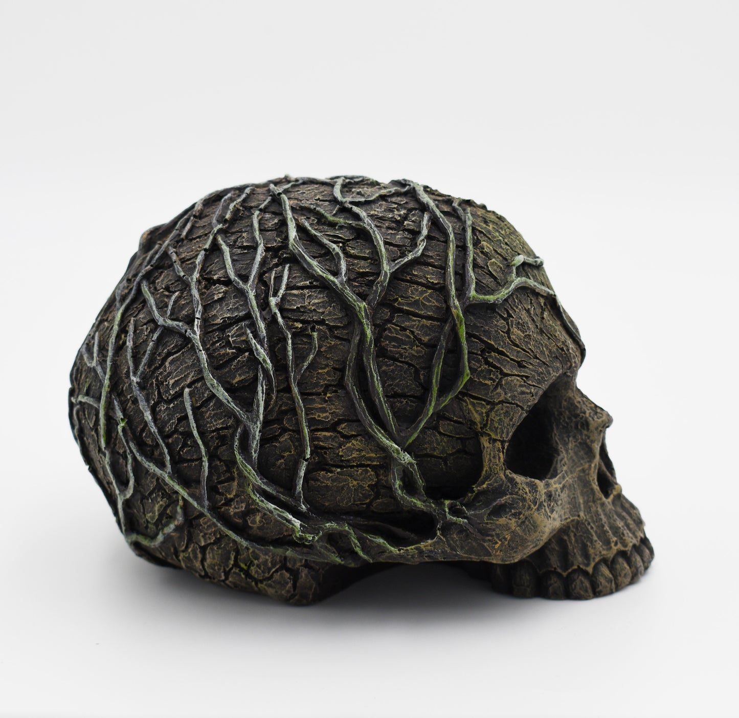 Skull Sculpture with roots on a white background. 