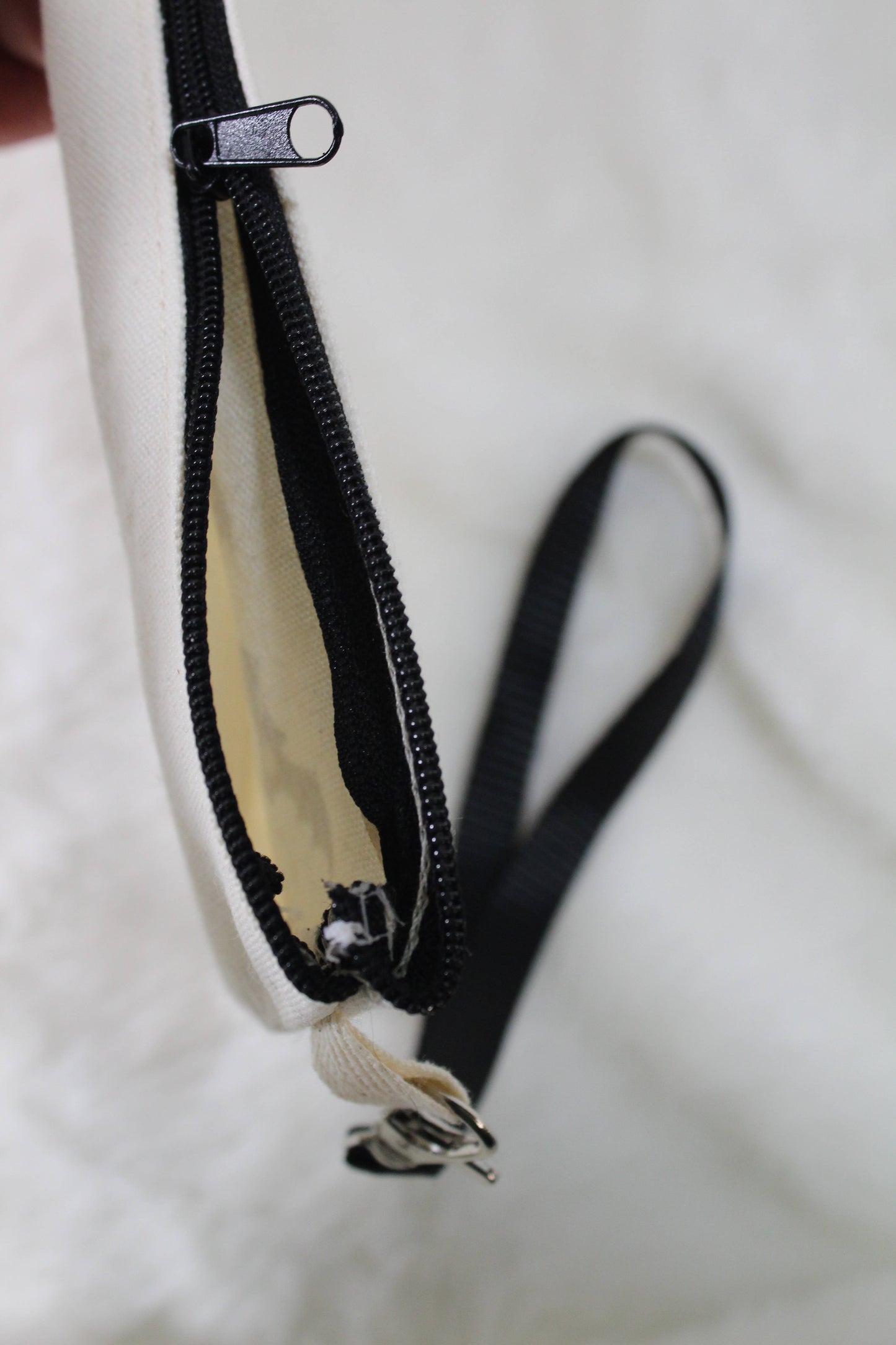 Gothic Ravens Spiders and Skulls Makeup/ Whatever Bag