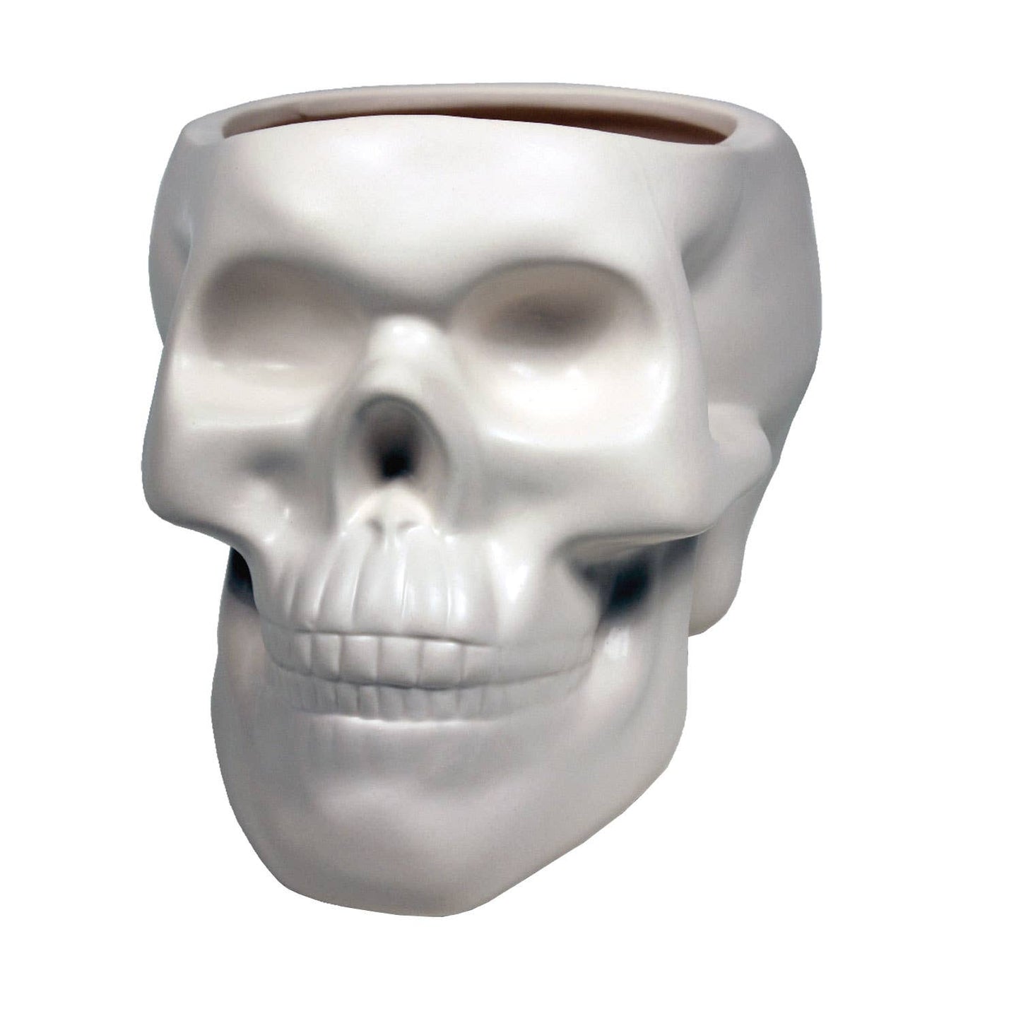 Ceramic Skull Planter