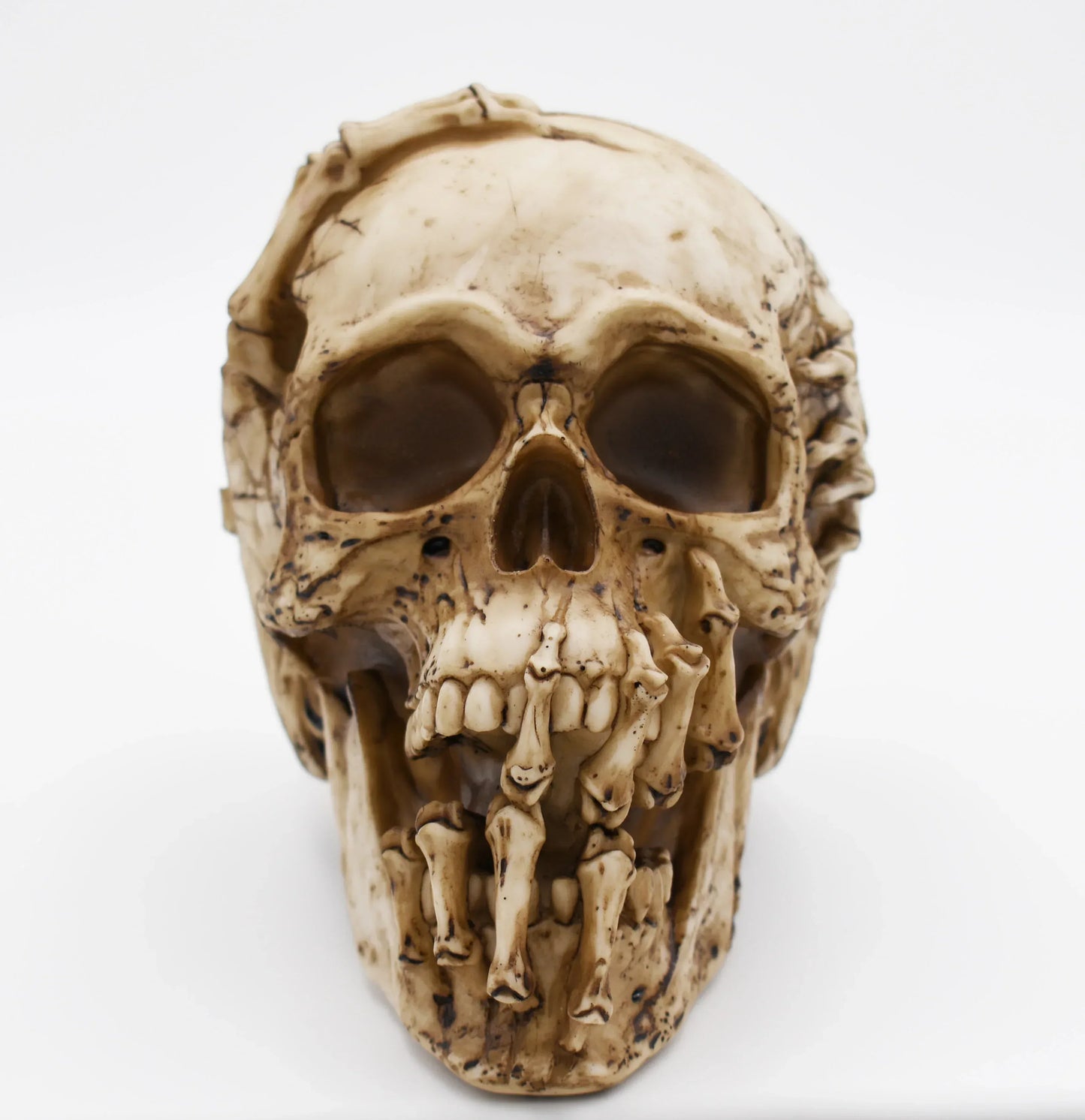 James Ryman Breaking Out Skull Sculpture - Shadowplay Collection