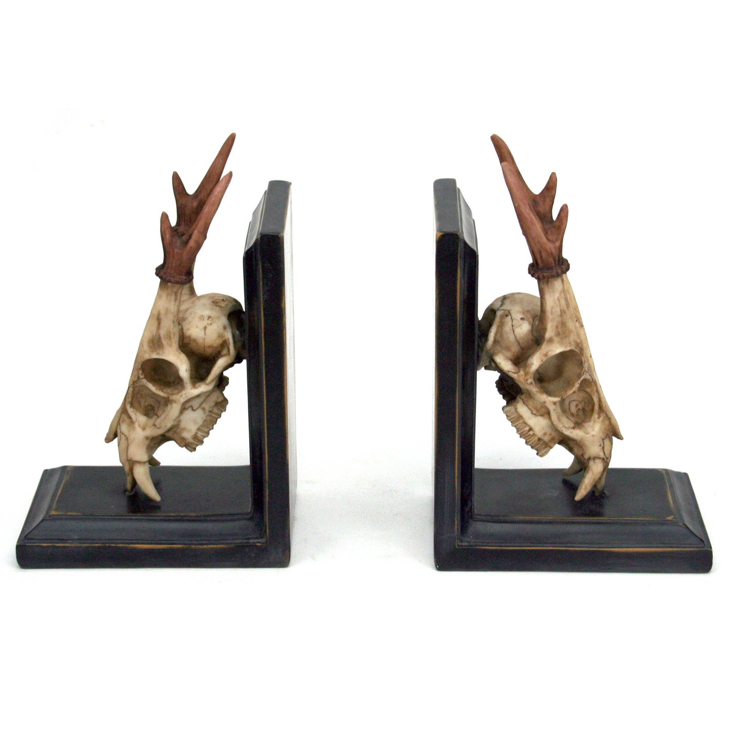 Red Muntjac Skull Book Ends