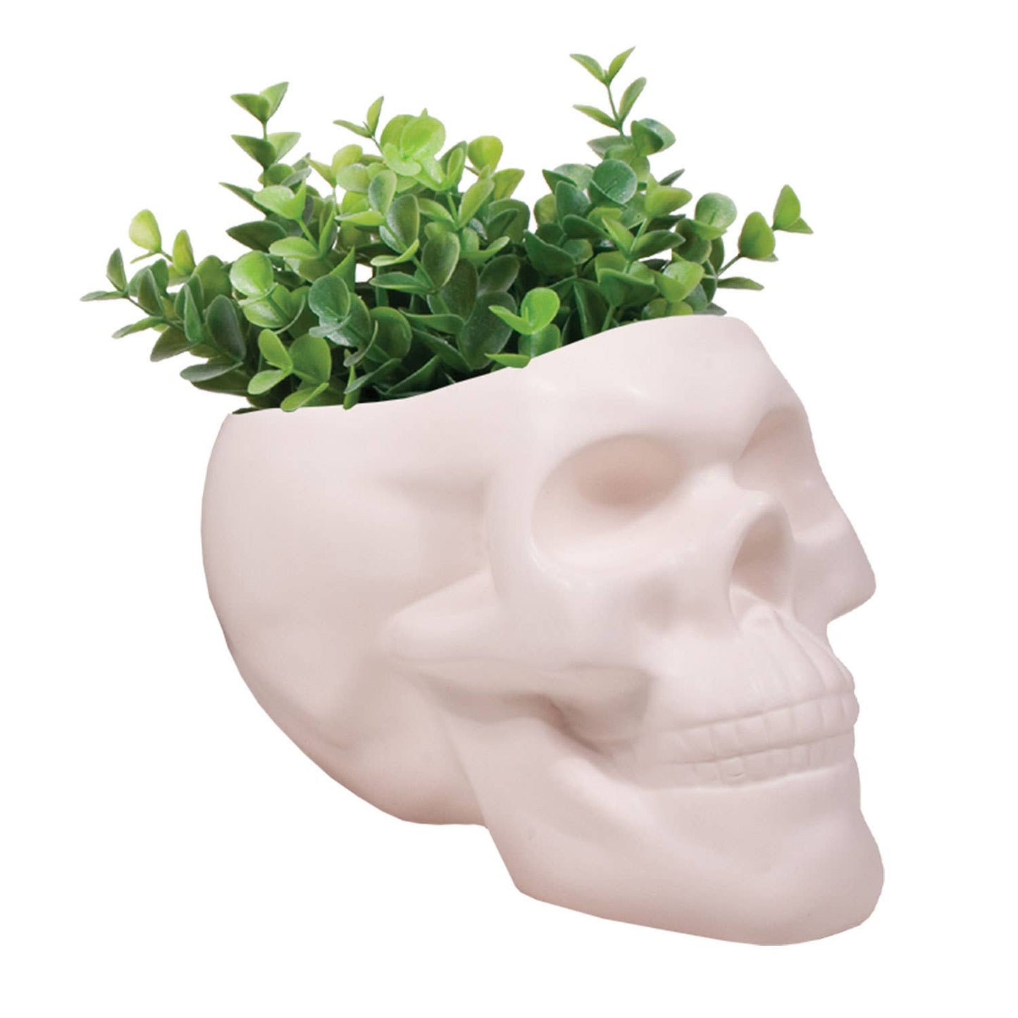 Ceramic Skull Planter