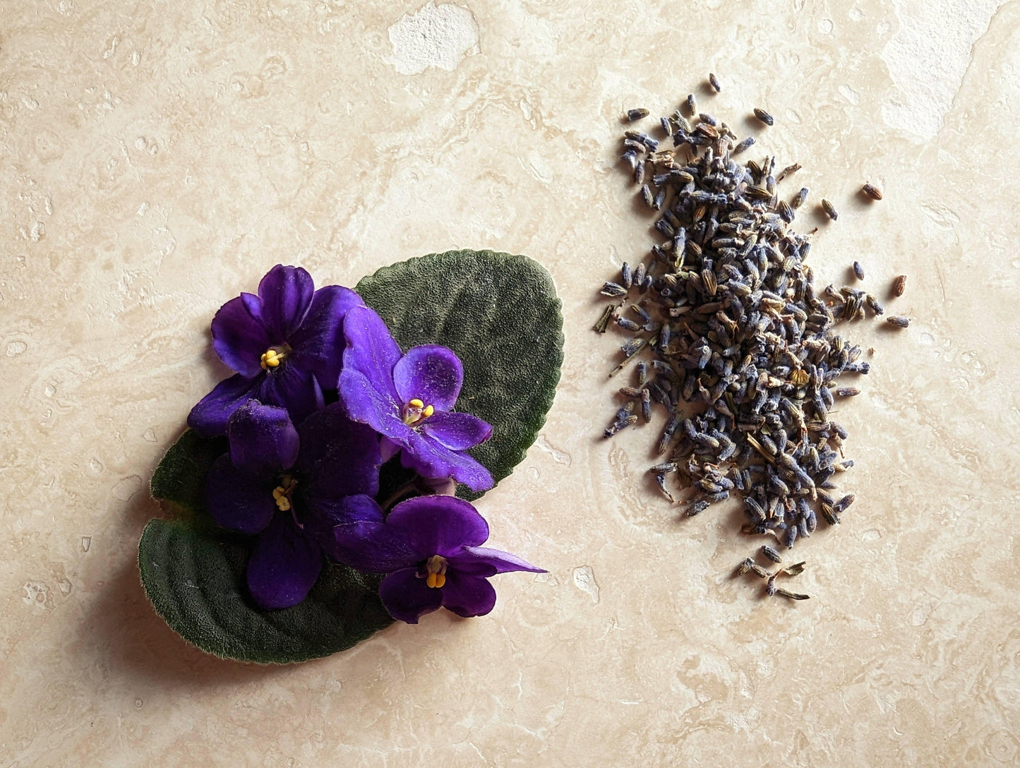 Moonstone Rituals Black Violet & Lavender Soy Candle - Shadowplay Collection