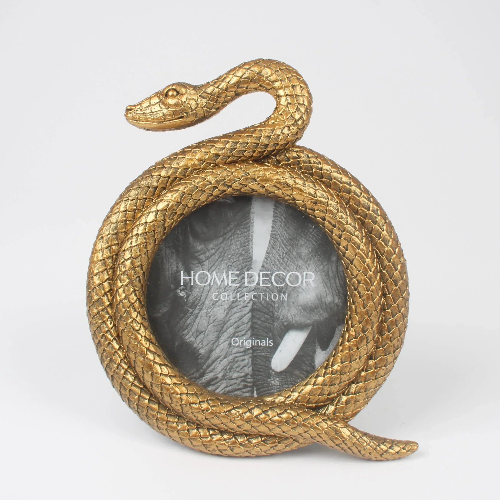Gold Coiled Snake Tabletop Picture Frame - Shadowplay Collection