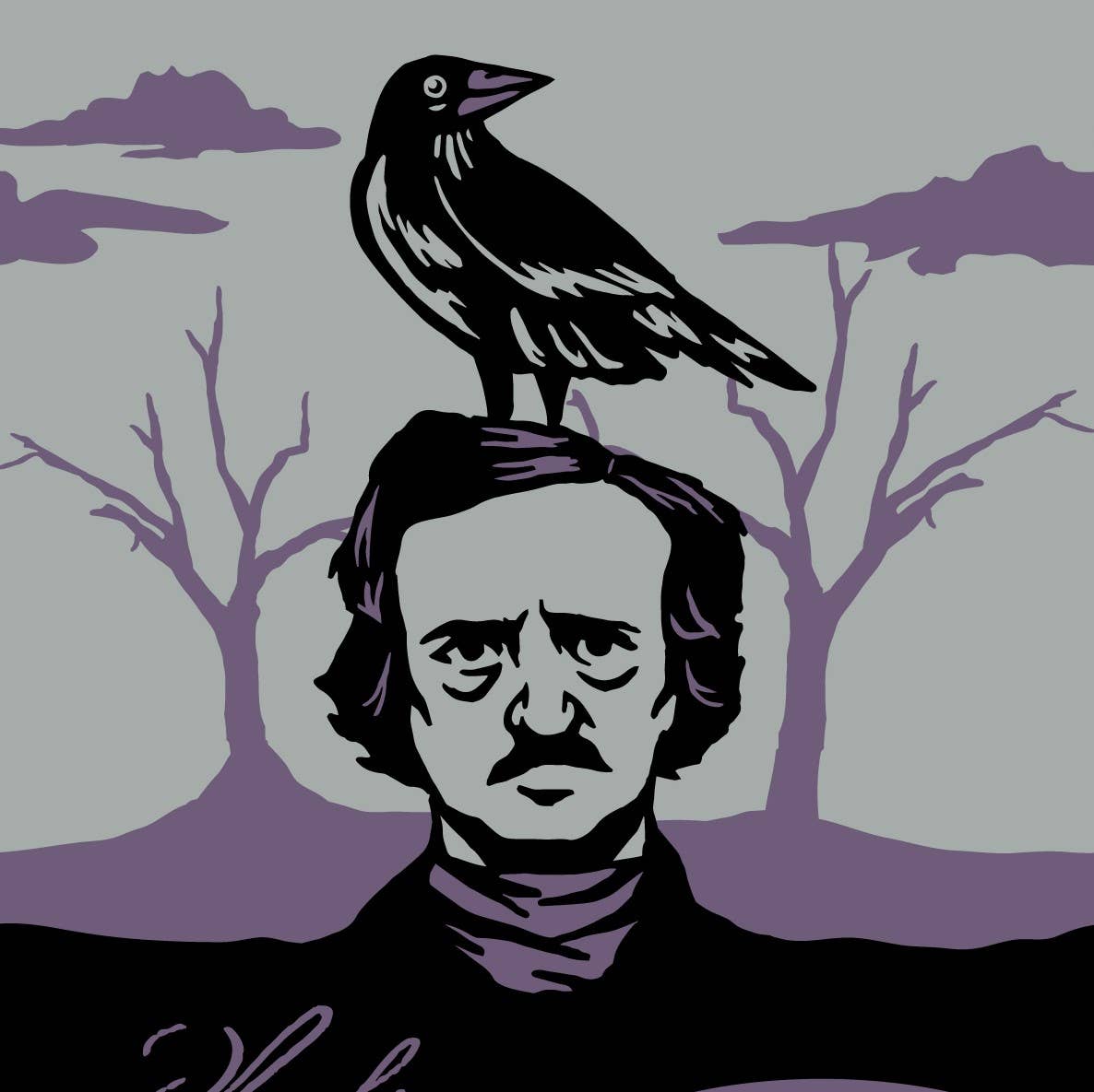 The Raven Edgar Allan Poe Socks