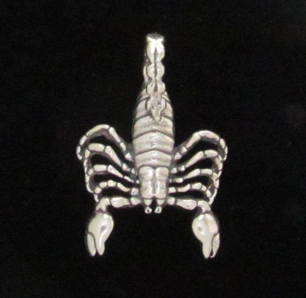 Sterling Silver Scorpion Pendant with Chain