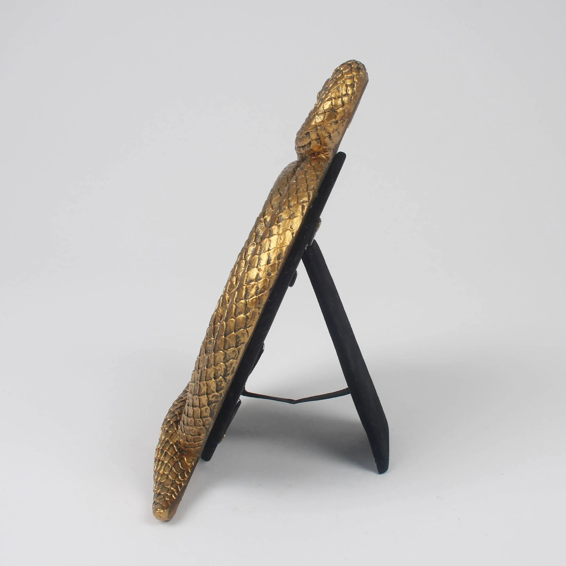 Gold Coiled Snake Tabletop Picture Frame - Shadowplay Collection