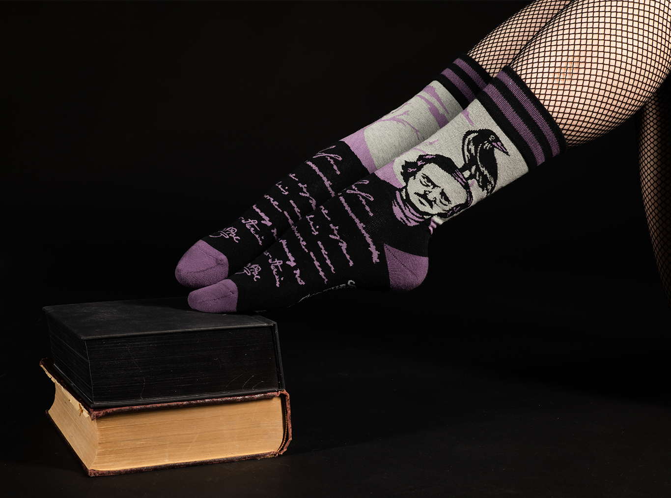 The Raven Edgar Allan Poe Socks