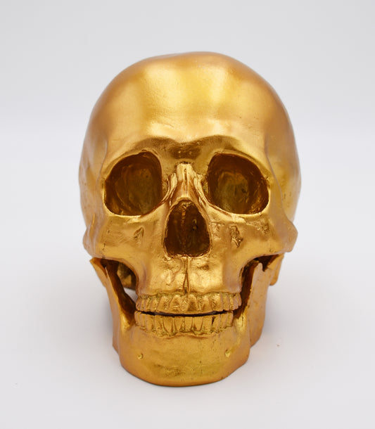 Gold Color Skull Sculpture with Detached Jaw