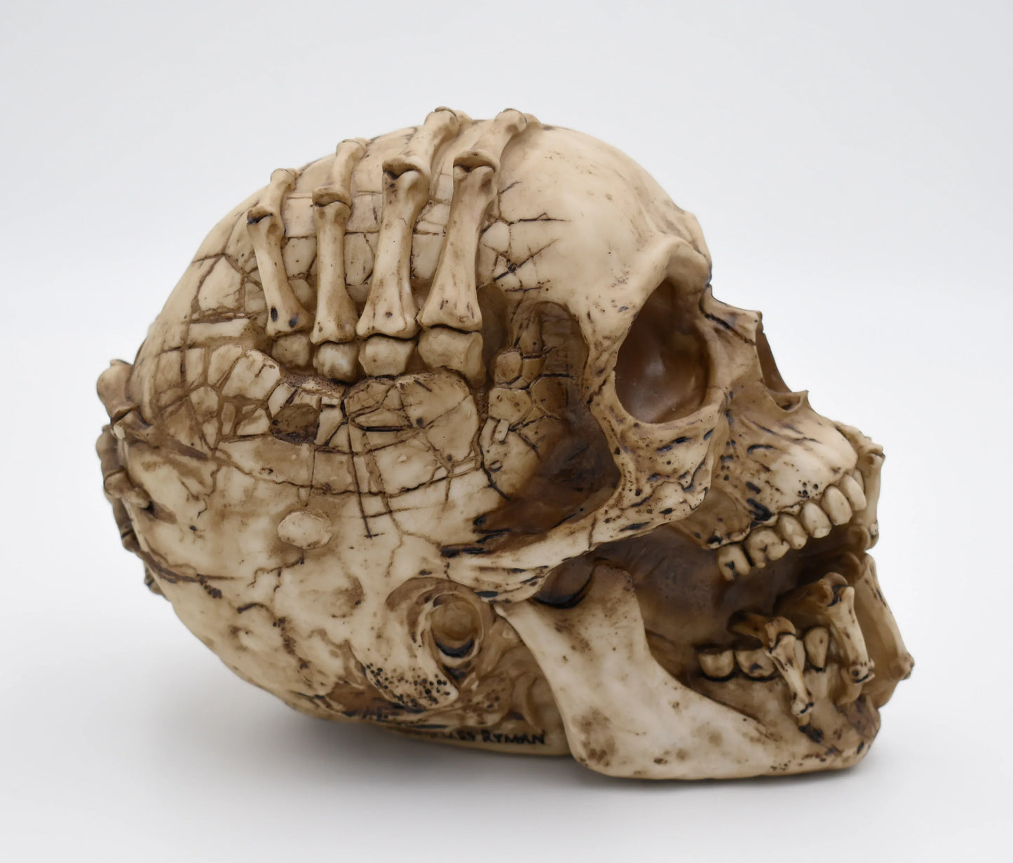 James Ryman Breaking Out Skull Sculpture - Shadowplay Collection