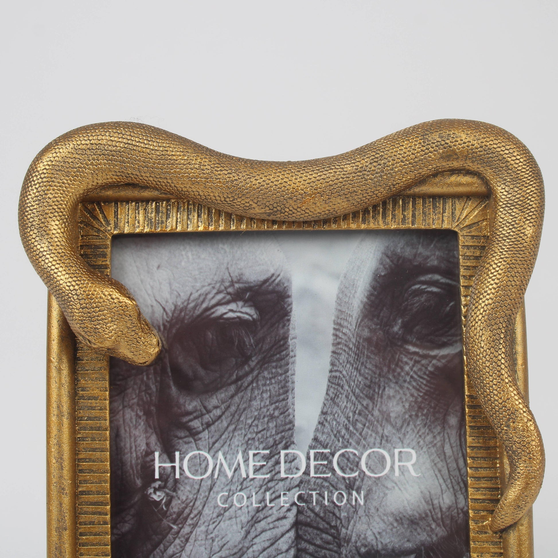 Vintage Inspired Gold Snake Tabletop Picture Frame - Shadowplay Collection